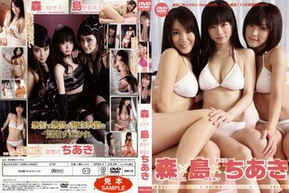 387ssbx02449pl.jpg